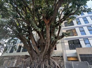 Departamento de 1 habitación, Guadalajara · Invierte en La Mejor Zona de Providencia