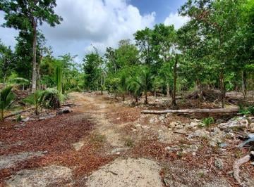 2 · Terreno en Venta a Lado de Parque Xenotes de 10 Ha en Playa del Carmen
