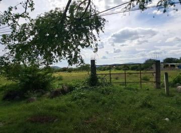 Magnifica ubicación a pie de carretera · Terreno en Venta, Cuautla, 8,423 m²