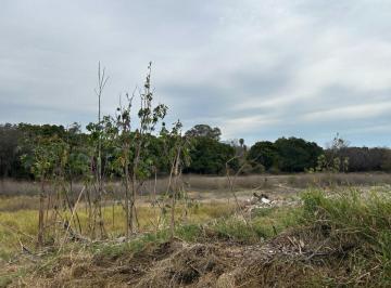 Terreno / Lote · 32000m² · Terreno en Venta, Chapala, 32 Ha