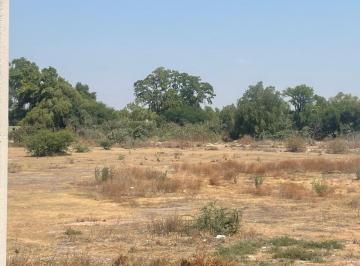 Terreno / Lote · 11666m² · Terreno en Venta, El Llano, 11,666 m²