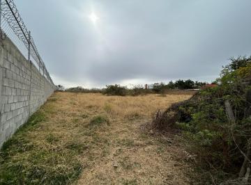 Terreno / Lote · 5732m² · Terreno en Venta, Tesistan, 5,732 m²
