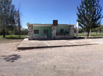 Casa de 2 habitaciones, Concepción del Oro · Venta de Casa y Terreno de Media Hectárea en La Comunidad Dela Laborcilla Concha del Oro