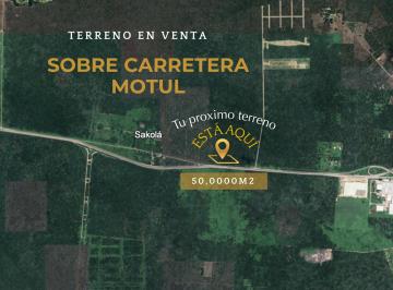 Terreno / Lote , Motul · Terreno en Venta | 50,000 m² | Sobre Carretera Motul Yucatan