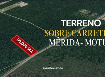 Terreno / Lote , Motul · Terreno en Venta | 50,000 m² | Sobre Carretera Motul Yucatan