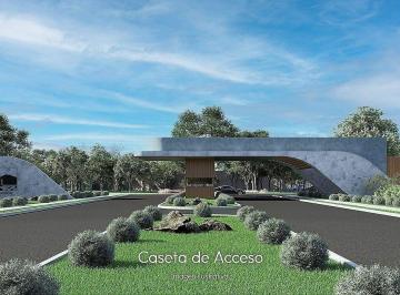 Terreno / Lote , Puerto Morelos · Terrenos en Preventa Puerto Morelos | Privada D’arrecife Gran Vía del Mar.