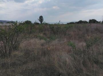 Terreno / Lote , Tequisquiapan · Terreno en Venta en La Trinidad Tequisquiapan