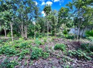 Terreno / Lote · 220m² · Terreno en La Calle Claveles