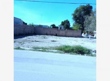 1 · Terreno en Renta en Villa de Las Flores, Lerdo, Durango