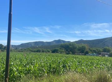 1 · Terreno en Venta en Carlos Real (San Carlos), Lerdo, Durango