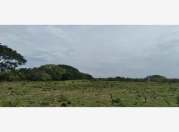 1 · Finca - Rancho en Venta y Renta en Piedras Negras, Tlalixcoyan, Veracruz de Ignacio de La Llave