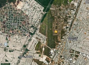 Terreno / Lote · Terreno en Venta en Mérida Muy Cerca de Periférico