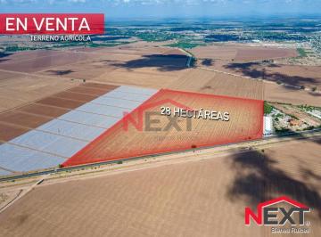 Foto principal · Terreno Agrícola en Venta Navojoa Son.