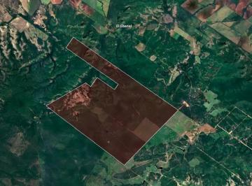 1 · Rancho en Venta en Montemorelos