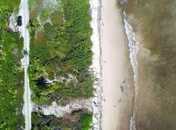 Terreno comercial , Othón P. Blanco · Terreno Frente Al Mar, Uso Hotelero de Alta Densidad, en Venta, Mahahual, Qroo.