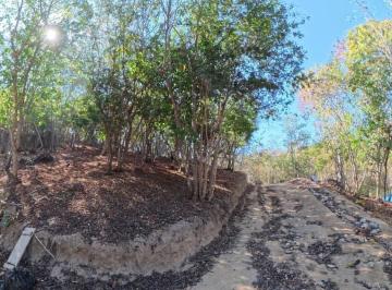 Terreno / Lote , Santa María Tonameca · Terreno/lote en Mazunte Pueblo Magico