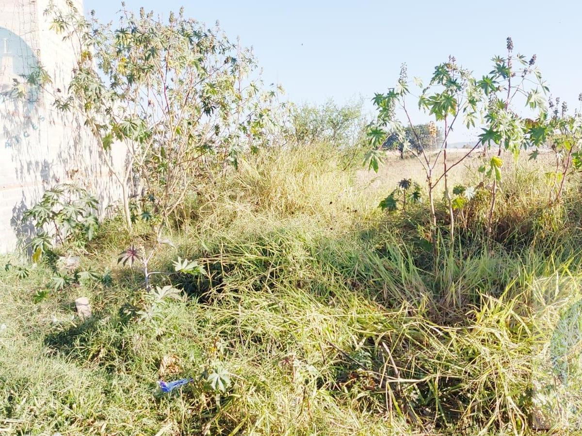 Terreno en Copalita