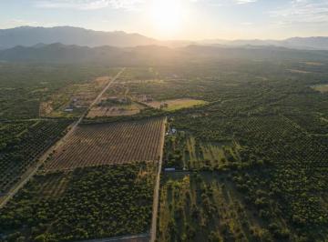 1 · Rancho Nogalero en Venta en Bustamante, N. L. | 38 Hectáreas Equipadas