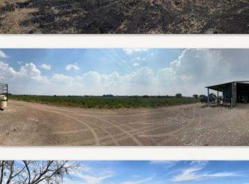 Rancho en Venta de 3 habitaciones  · 217 Hectáreas en Venta Los Amoles Guanajuato Entre León y Silao