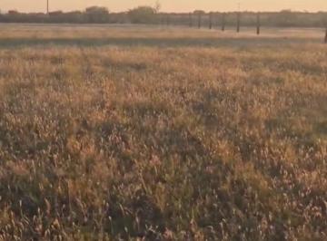 Terreno / Lote , El Llano · Terrenos en Venta Municipio El Llano Aguascalientes