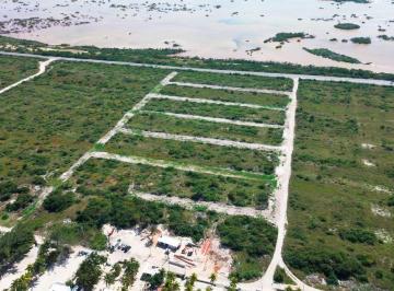 ae80e69e06435a096e0c6e457291d69fc9553b4e31fe31ec67c441ef810ea49a · Venta de Terreno Cerca de La Playa Chicxulub Puerto Yucatan