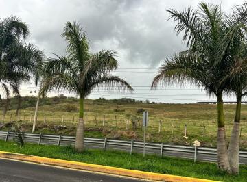 Terreno / Lote · 270000m² · Terreno - Xalapa