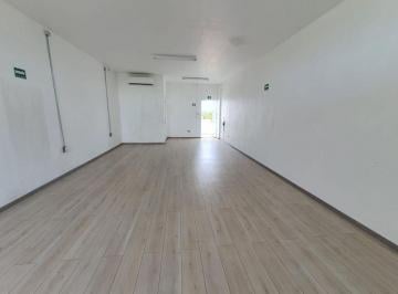 12f04c4bd6304a9c0492d998b4fe25015cc9ac70f1442d316fa9888161d45a08 · Renta de Local Comercial 50 m Av Rodrigo Rojo Gomez en Cancún