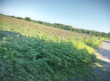 Terreno / Lote , Manlio Fabio Altamirano · Terrreno Rustico/agropecuario