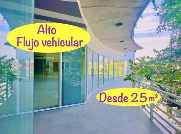 000a75c6d7d78c13605b0ac5c54effe9d8fbacb41b946b4baa22ce0d04e991f0 · Local en Renta en El Patriota, en Planta Alta, Desde 25 m² (Desde Este Precio)