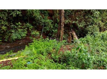 Terreno / Lote , Valle de Bravo · Terreno en Venta/camino a Casas Viejas/valle de Bravo