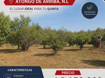Terreno / Lote · 5000m² · Terreno Campestre en Venta - Atongo de Arriba N. L