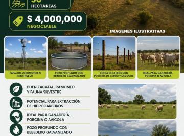 Rancho · 60m² · 3 Recámaras · Rancho en Venta (Remate) Nueva Rosita, Coahuila. Ideal Para Ganadería