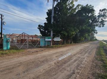 Terreno / Lote , Guasave · Terreno Agro Industrial (Invernaderos) en Venta Ubicado en Adolfo Ruiz Cortines, Guasave, Sinaloa