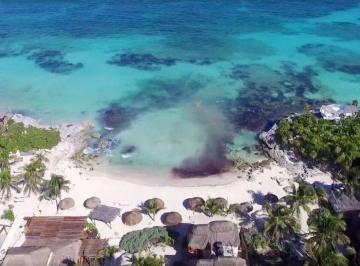 435558609ca62cb260b859b634b12037085fbe5b3958586df4f89497a4a18f62 · Venta Hotel - Restaurant, Zona Hotelera Tulum