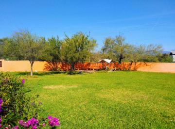 Rancho de 4 habitaciones, Dr. González · Venta de Rancho en La Morita, Dr. Gonzalez, N. L.