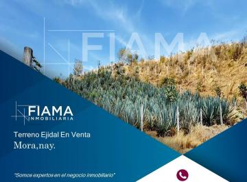 Terreno / Lote , Tepic · Terreno Ejidal en Venta en Mora, Tepic, Nayarit