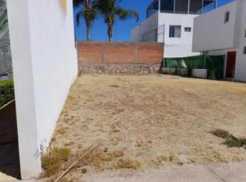 1 · Terreno en Venta Tres Arroyos Al Norponiente de Aguascalientes