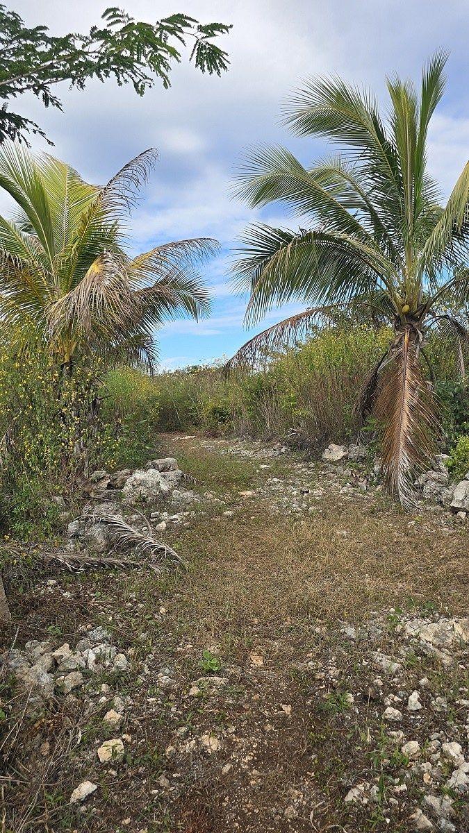 Excellent Land for Sale! Espita, a Magical Town, Yucatán.