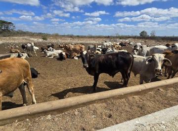 89f3a282245e5bd880eee0b5b4f0902954ff89eed6eac5a44f6ddafe79533ae0 · ¡Fabuloso Rancho en Venta! Buctzotz, Yucatán.