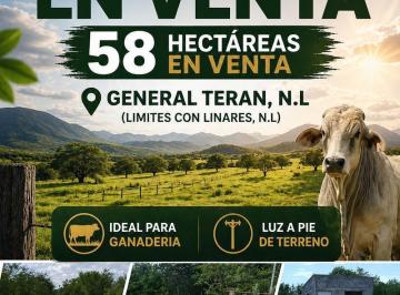 Rancho · 580000m² · Rancho en Venta de 58 Hectáreas en General Terán, Entre Linares y Terán, N. L.