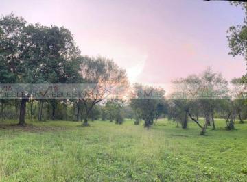 Terreno / Lote · 1176m² · Terreno / Lote en Venta en El Pastor