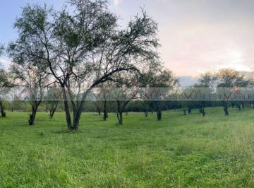 Terreno / Lote · 1176m² · Terreno / Lote en Venta en El Pastor