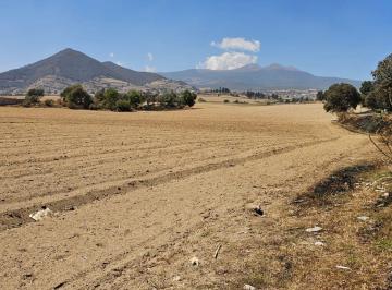 Terreno / Lote · 47000m² · Terreno Agrícola de 4.5 Hectáreas en Calimaya, Estado de México, Escriturado. - (4)