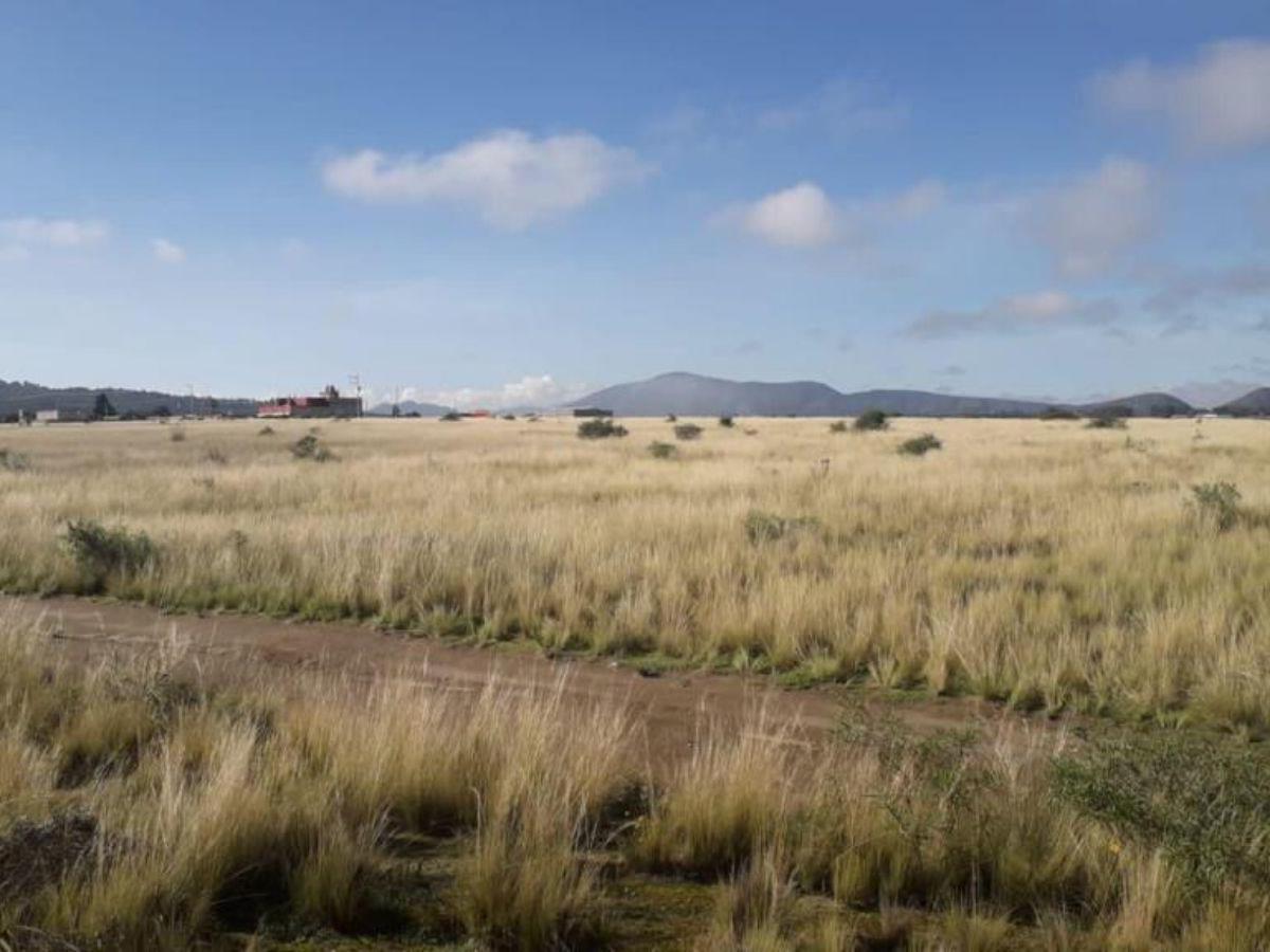 Terreno - Perote