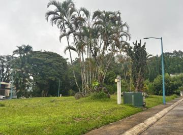 Terreno / Lote · 290m² · Terreno - Coatepec