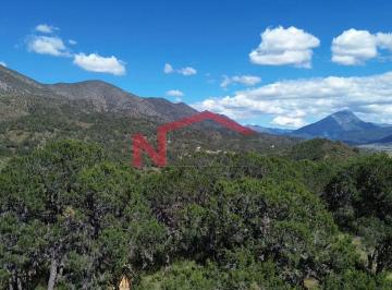 Foto principal · Terreno Campestre en Venta Arbolado (1 Ha) en Colina Arbolada (Sierra de Arteaga)