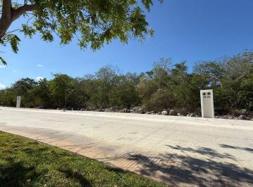 Terreno / Lote , Mérida · Terreno en Venta en Merida, Yucatan en Provincia Justo en Av Principal