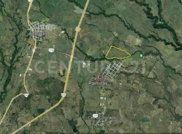 Terreno / Lote · 206000m² · Venta Parcela Palmillas Colima