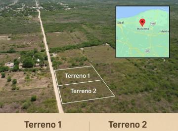 Terreno / Lote , Hunucmá · Terrenos con 434 m² Hunucmá, a 10 Min de La Playa.