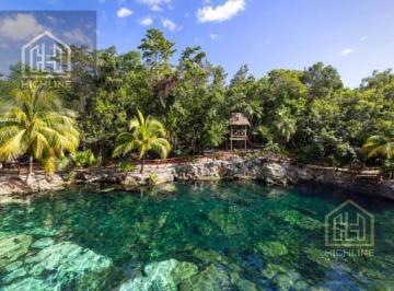 Departamento · 41m² · 1 Recámara · 1 Estacionamiento · En Venta Estudio en Tulum con Alberca y Gimnasio